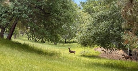 780 Castec Way, El Dorado Hills, CA 95762 Photo