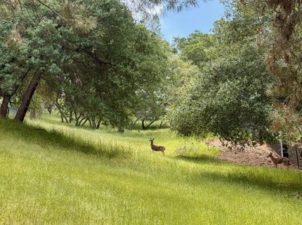 780 Castec Way, El Dorado Hills, CA 95762 Photo