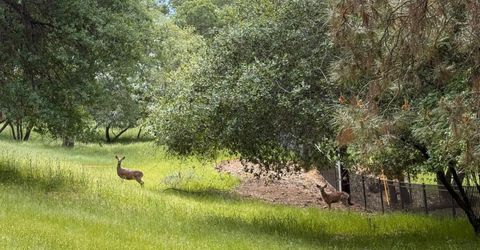 780 Castec Way, El Dorado Hills, CA 95762 Photo