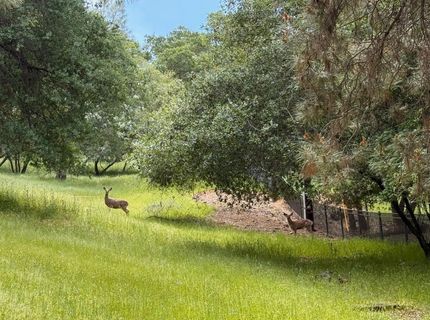 780 Castec Way, El Dorado Hills, CA 95762 Photo