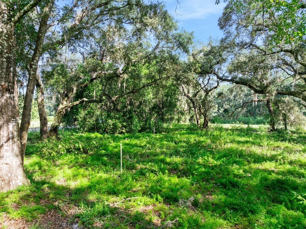 Roberts Road, Pierson, FL 32180 Photo