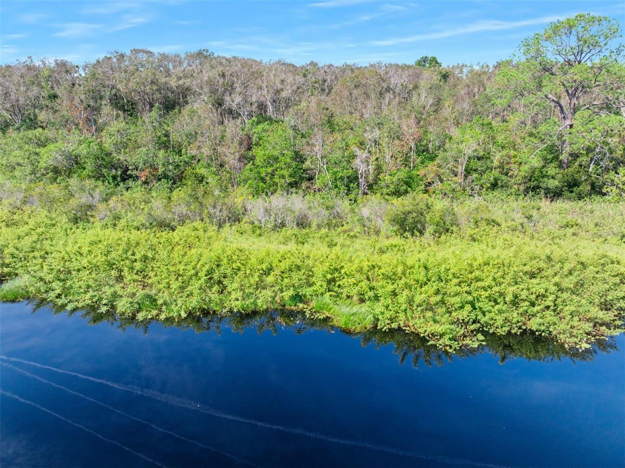 Roberts Road, Pierson, FL 32180 Photo