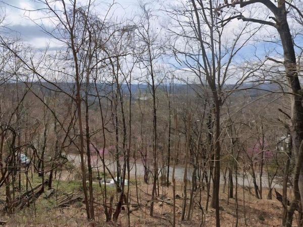 296 Holiday Island Drive, Holiday Island, AR 72631