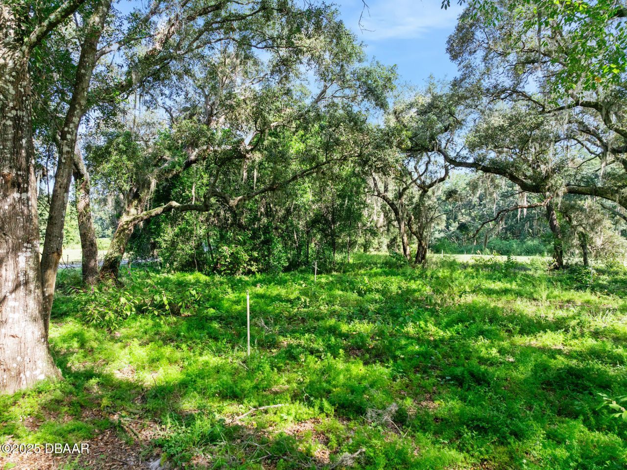 0 Roberts Road, Pierson, FL 32180 Photo