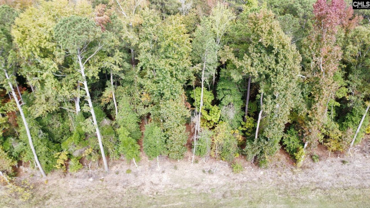 208 Grinders Mill Road Photo 34