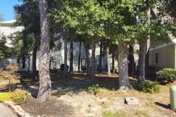 829 9th Ave. S photo 4