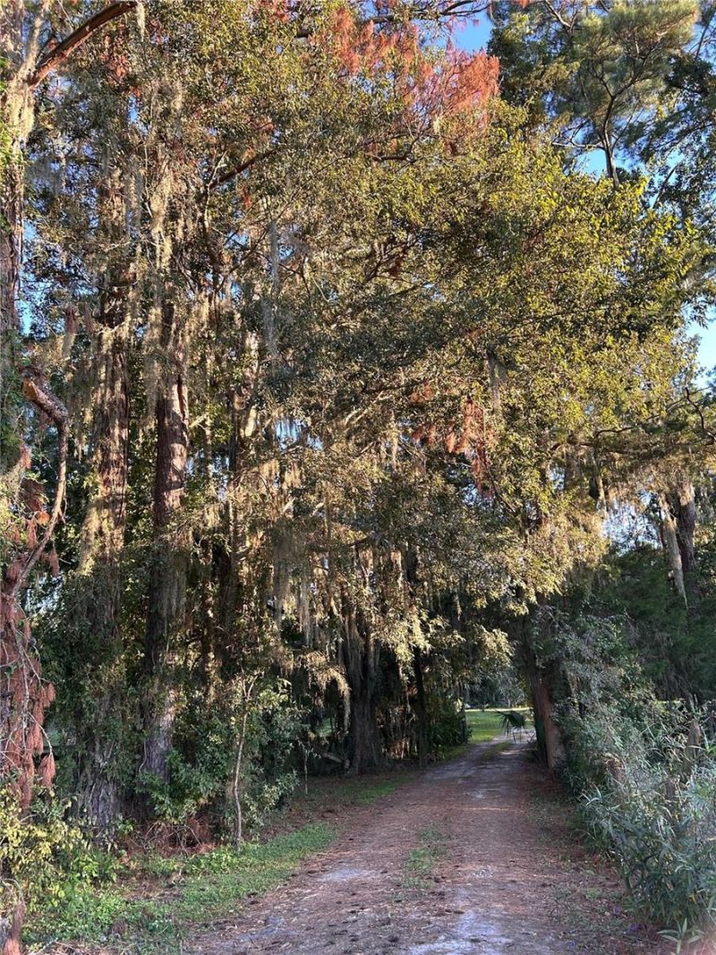 7505 NW 137th Avenue, Morriston, FL 32668 Photo