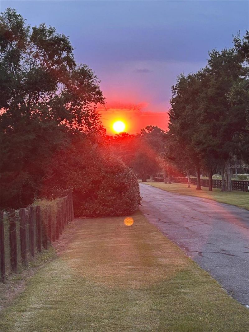 7505 NW 137th Avenue, Morriston, FL 32668 Photo