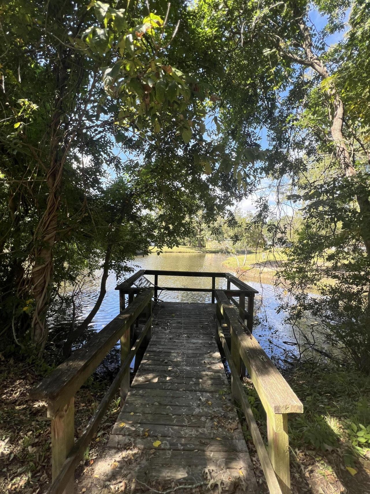 8589 Lake Marion Drive Photo 16