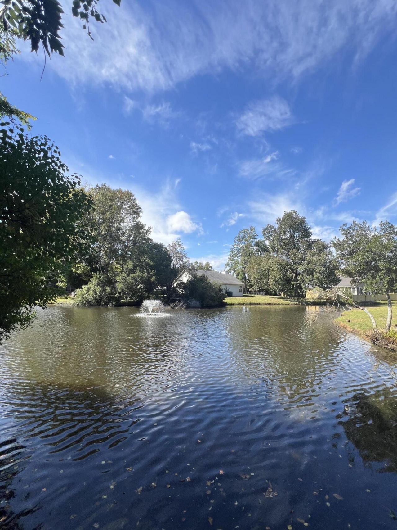 8589 Lake Marion Drive Photo 2