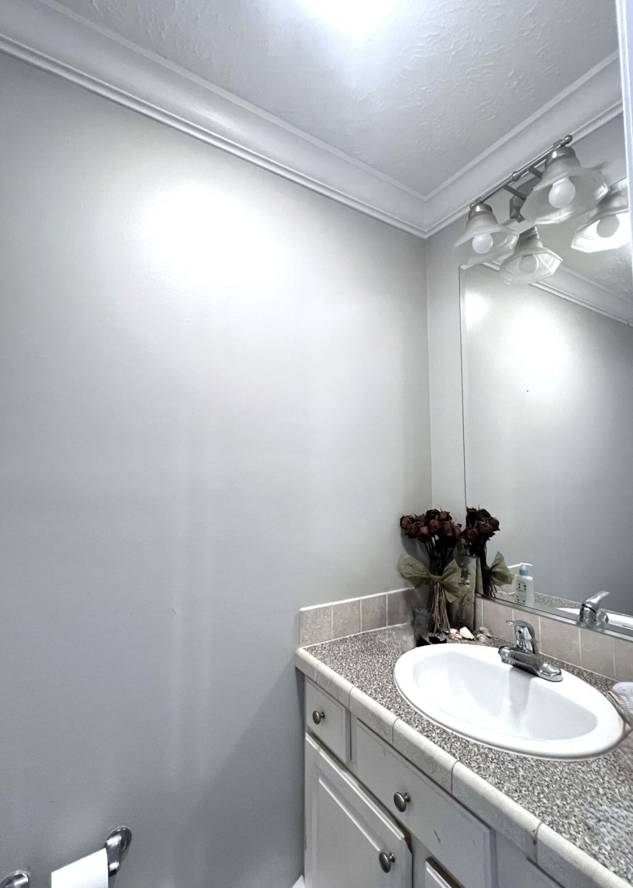 8589 Lake Marion Drive Photo 7