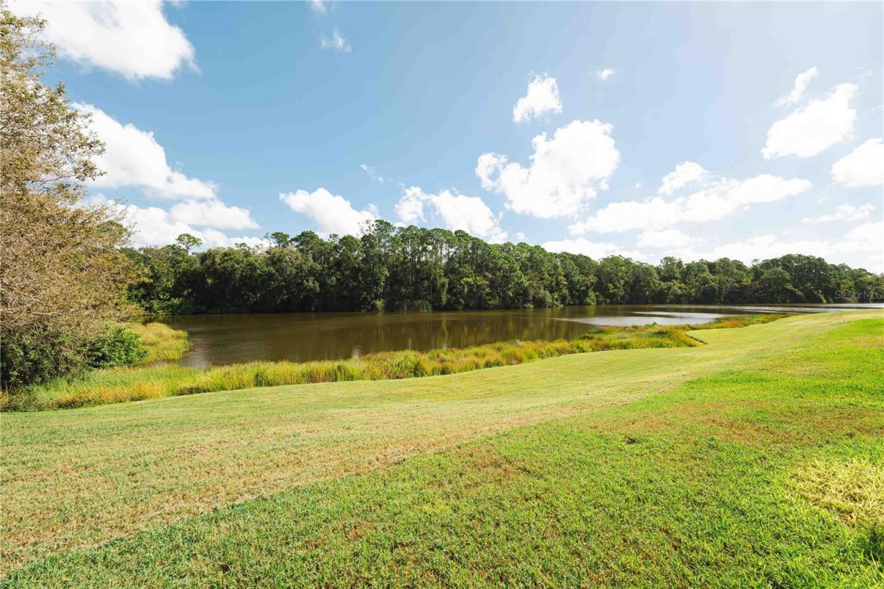 2151 Diamond Court, Oldsmar, FL 34677 Photo