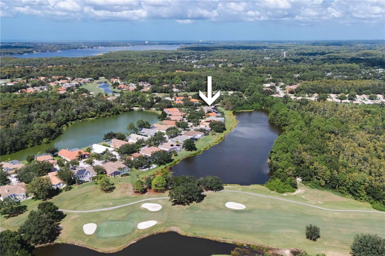 2151 Diamond Court, Oldsmar, FL 34677 Photo