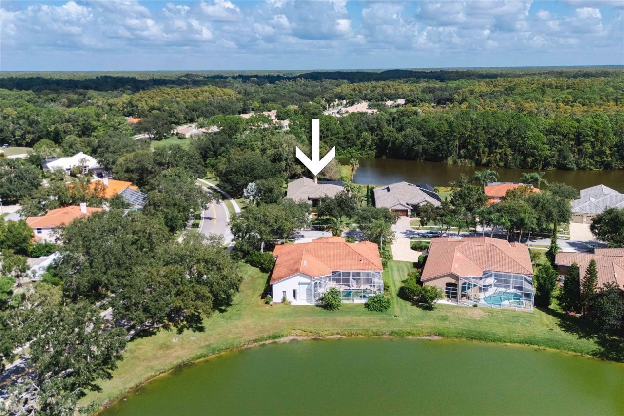 2151 Diamond Court, Oldsmar, FL 34677 Photo