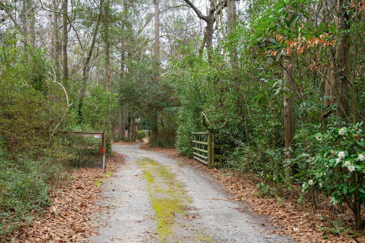 415 W Carolina Avenue Photo 5