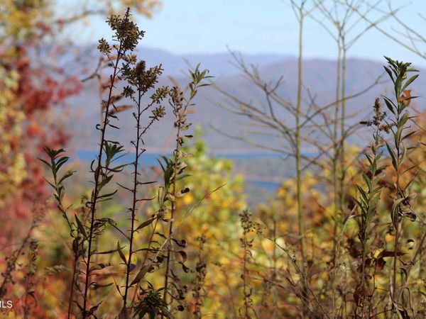 48 Locust Lane, Butler, TN 37640