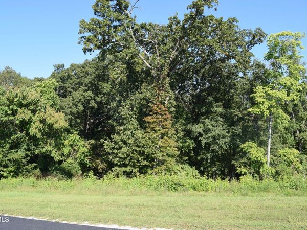 347 Water View Drive, Rockwood, TN 37854