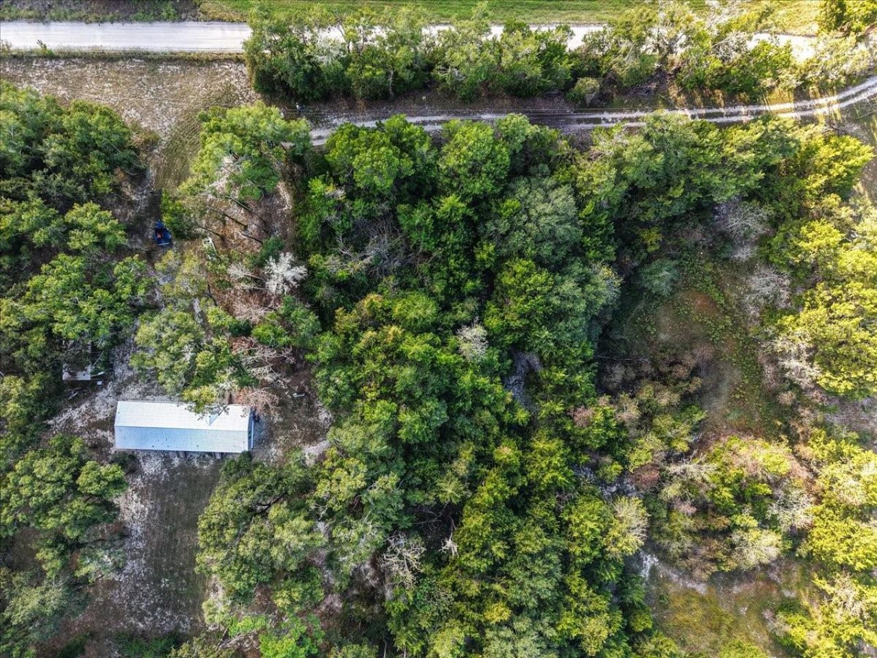 4654 NW 45th Avenue, Bell, FL 32619 Photo