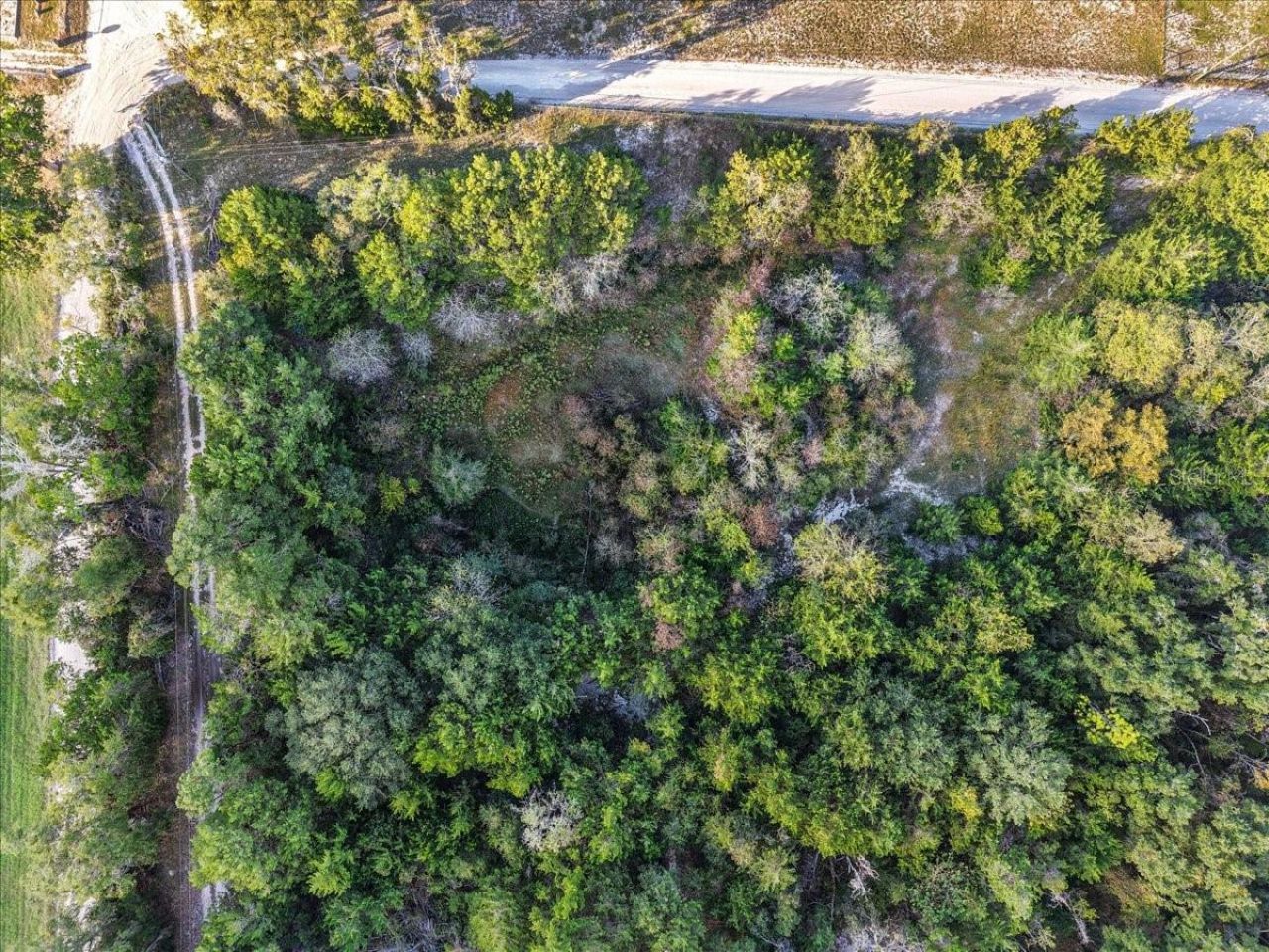 4654 NW 45th Avenue, Bell, FL 32619 Photo