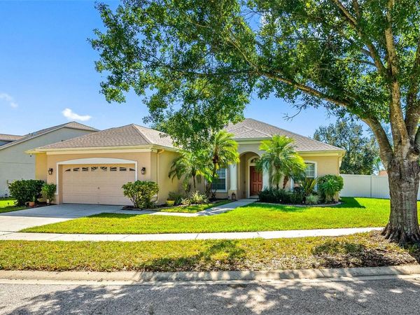 11749 SUMMER SPRINGS DRIVE, RIVERVIEW, FL 33579