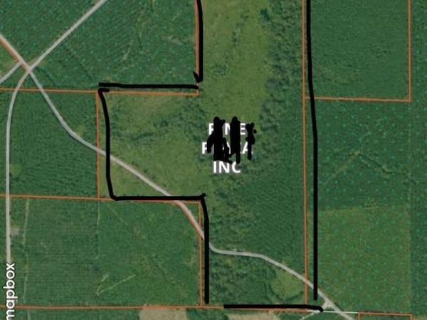 ashley rd 703, Meridian, AR 71635