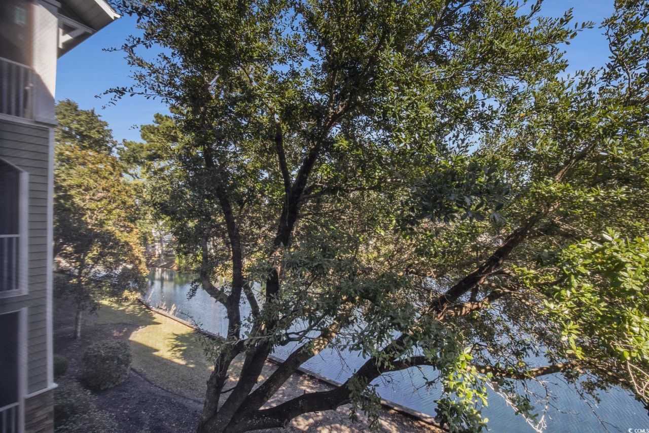 84 Addison Cottage Way Photo 26