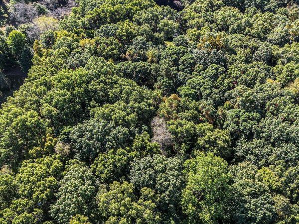 4520 Ross Drive, Benton Harbor, MI 49022