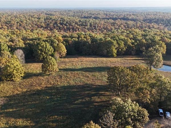 TBD Tract 5 County Road 4215, Salem, MO 65560