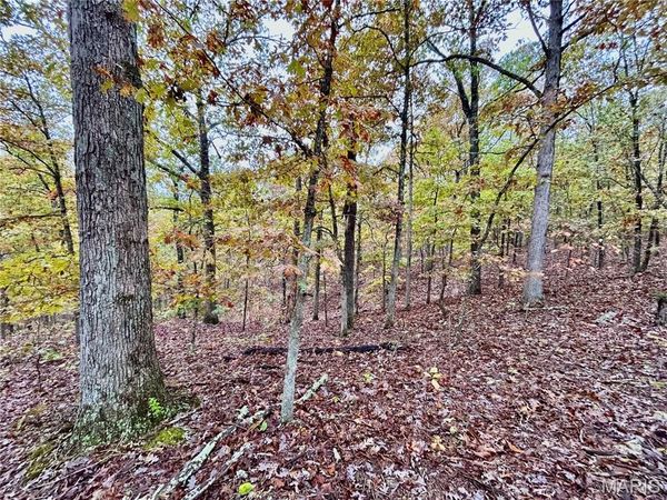 TBD Tract 1 County Road 4215, Salem, MO 65560