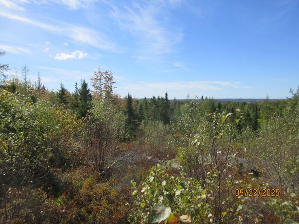 Lot #7 Highland Road, Addison, ME 04606