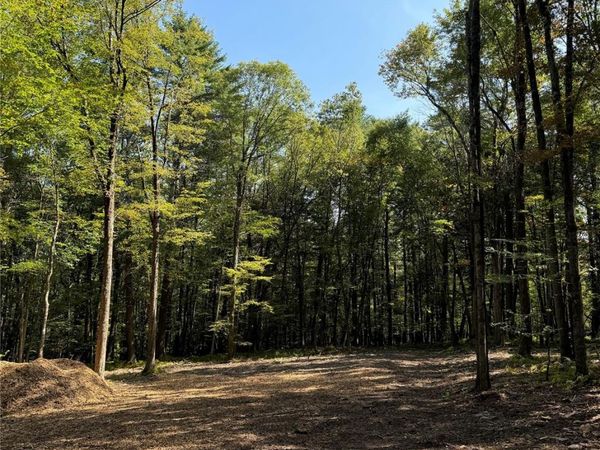Lot 2 Evergreen Lane, Narrowsburg, NY 12764