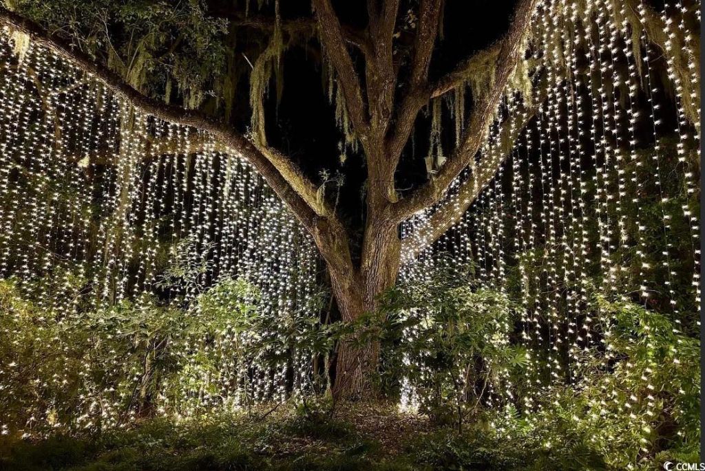 169 Westfield Circle Photo 11