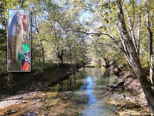 1462 Keystone Road , Unit (Raccoon C, Vinton, OH 45686