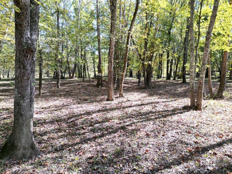 1462 Keystone Road, Unit (Raccoon C, Vinton, OH 45686 Photo 13