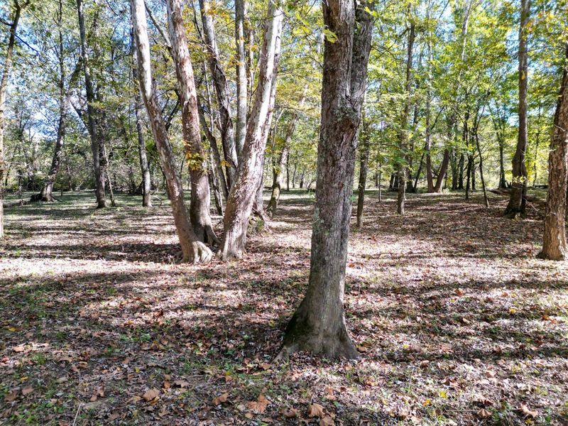 1462 Keystone Road, Unit (Raccoon C, Vinton, OH 45686 Photo 14