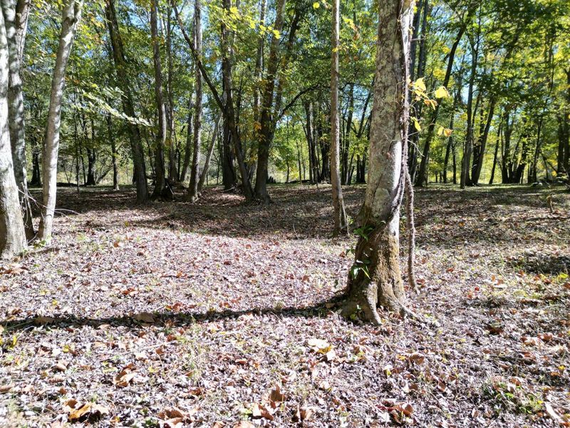 1462 Keystone Road, Unit (Raccoon C, Vinton, OH 45686 Photo 3