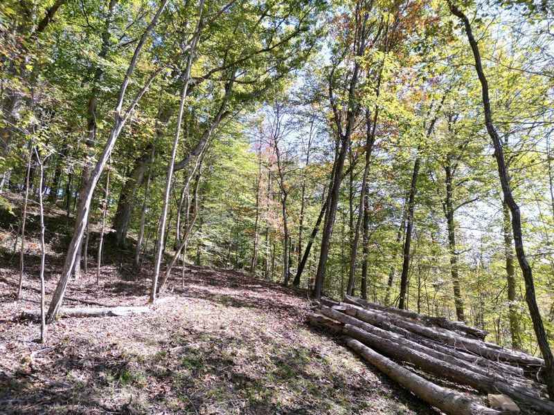 1462 Keystone Road, Unit (Raccoon C, Vinton, OH 45686 Photo 33