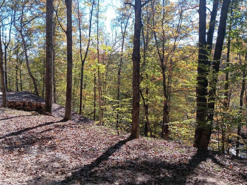 1462 Keystone Road, Unit (Raccoon C, Vinton, OH 45686 Photo 34