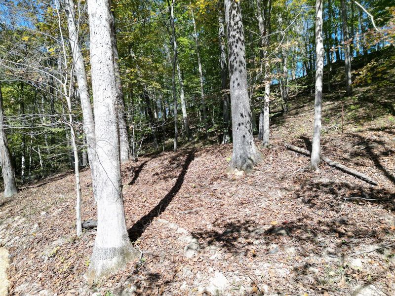 1462 Keystone Road, Unit (Raccoon C, Vinton, OH 45686 Photo 37