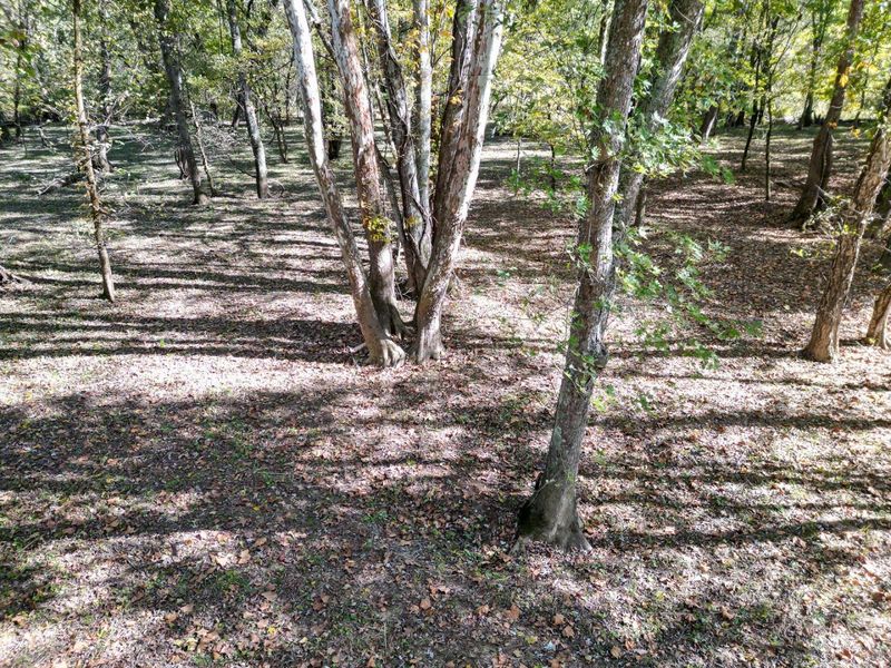 1462 Keystone Road, Unit (Raccoon C, Vinton, OH 45686 Photo 58