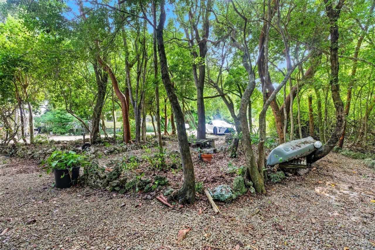 103 Tree Ln, Tavernier, FL 33070 Photo