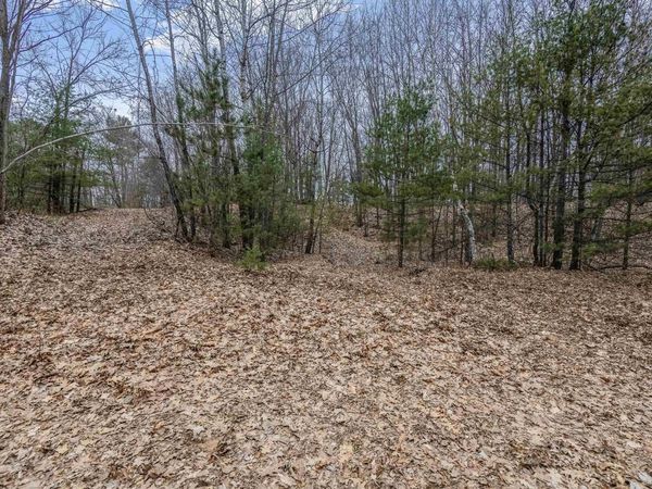 N WHITE POTATO LAKE ROAD, Pound, WI 54161