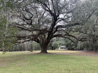 Lot 10 Plantation Lane, Walterboro, SC 29488