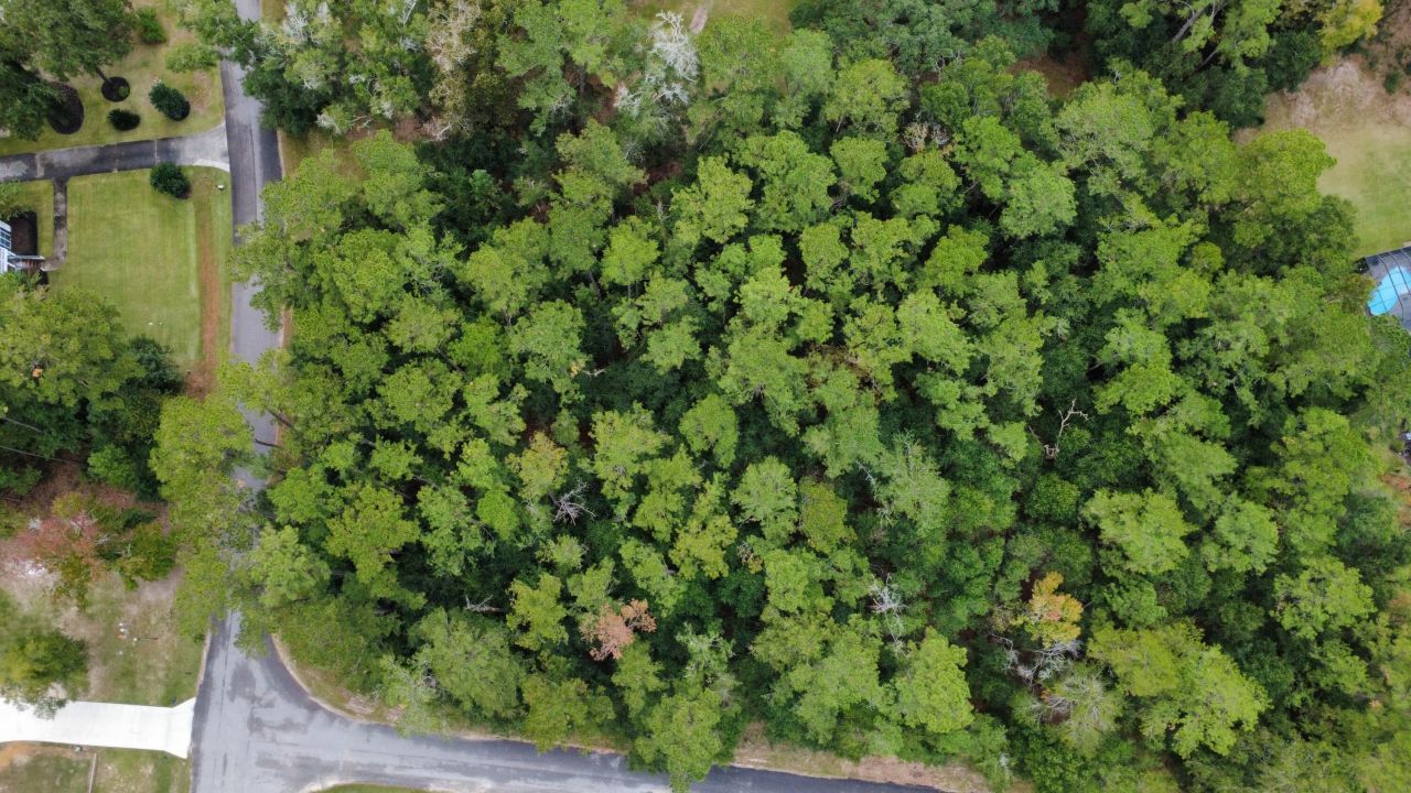 Lot 10 Plantation Lane Photo 5