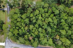 Lot 10 Plantation Lane photo 4