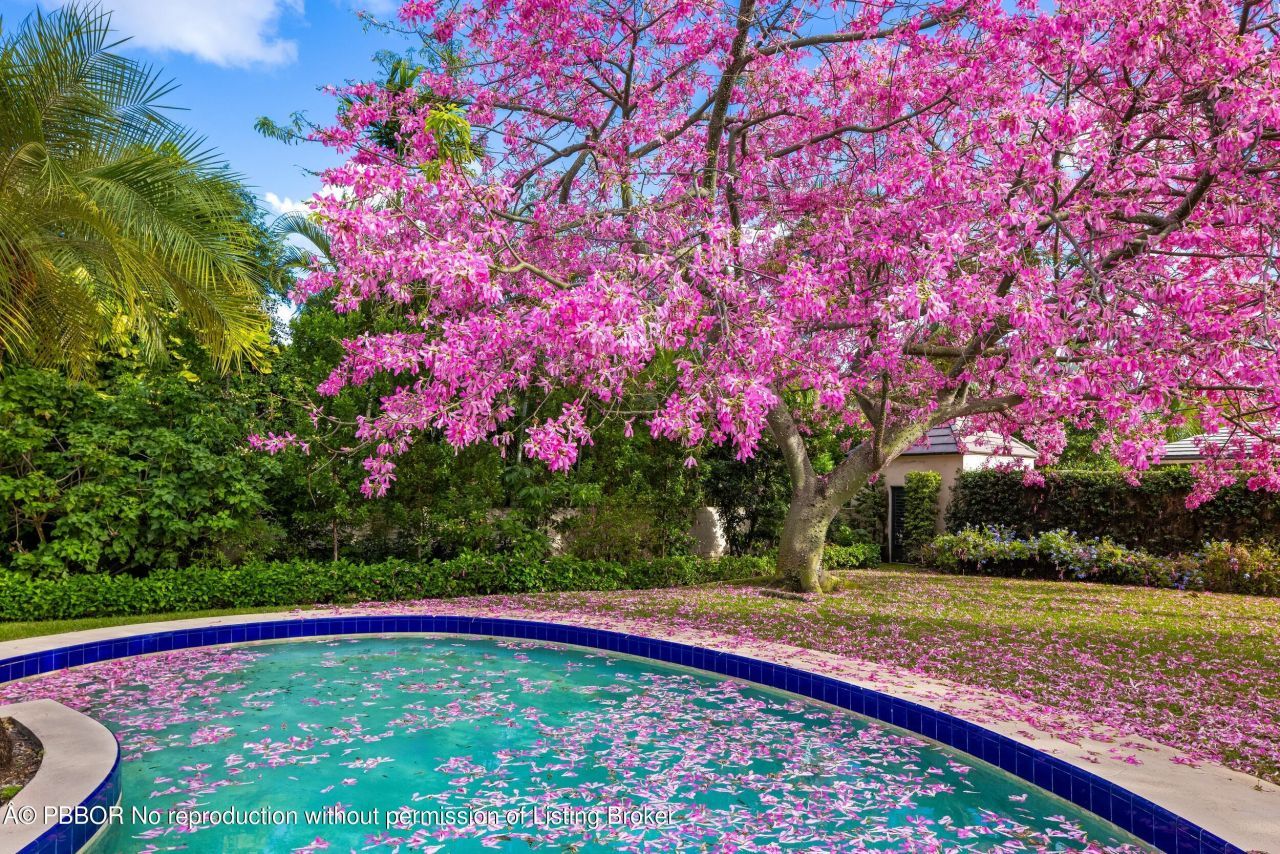 334 Barton Avenue, Palm Beach, FL 33480 Photo