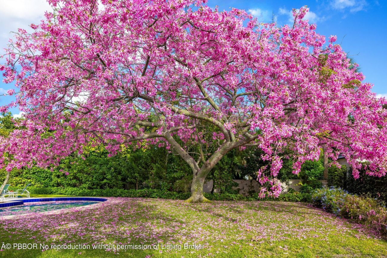 334 Barton Avenue, Palm Beach, FL 33480 Photo