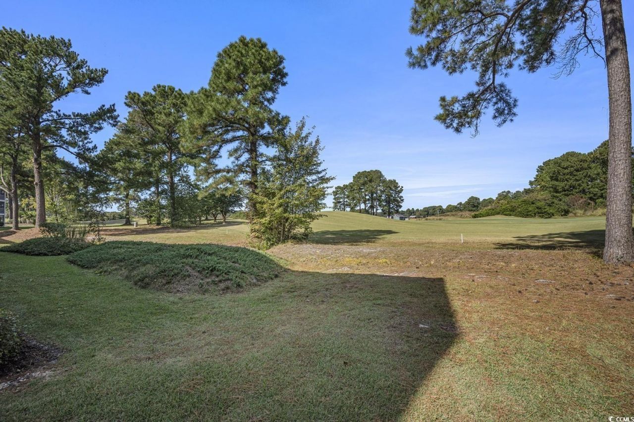 4920 Windsor Green Way Photo 25