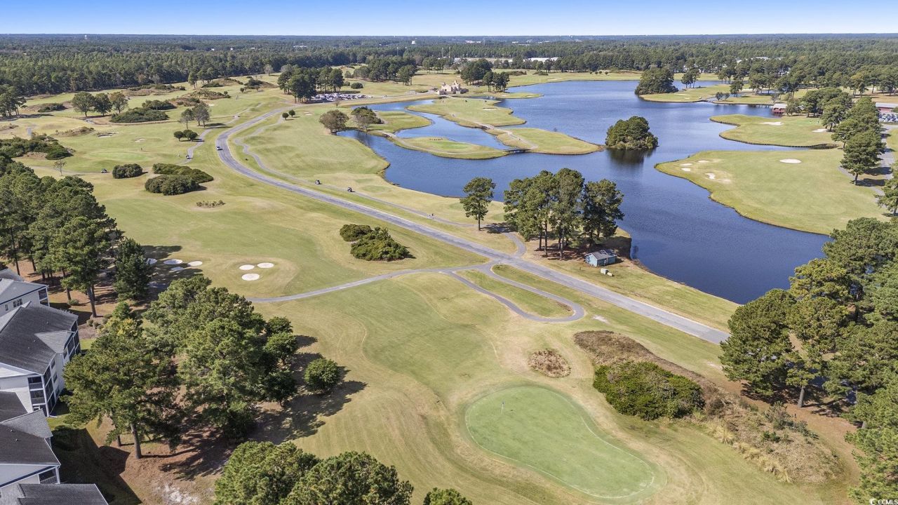 4920 Windsor Green Way Photo 36