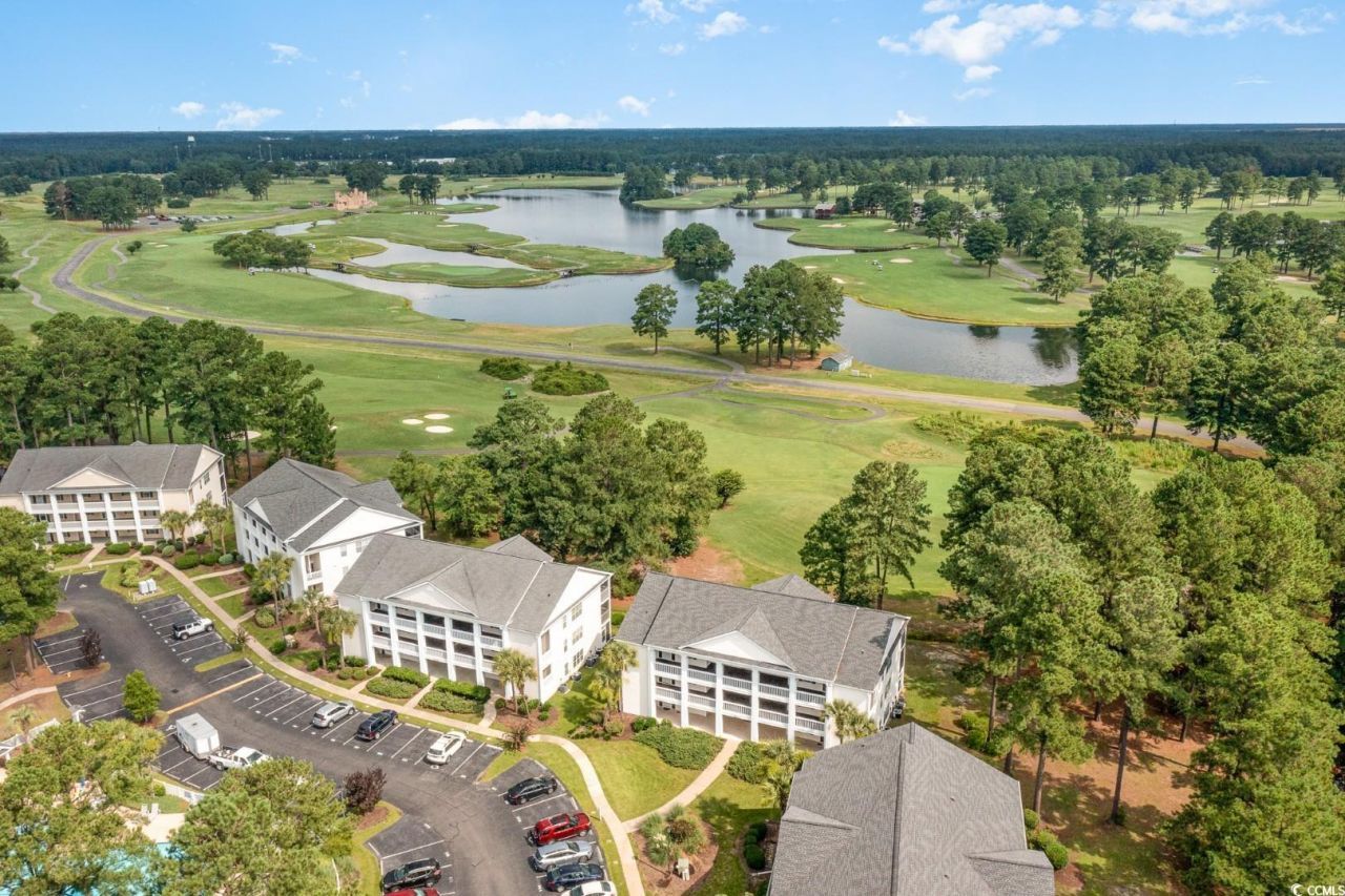 4920 Windsor Green Way Photo 37